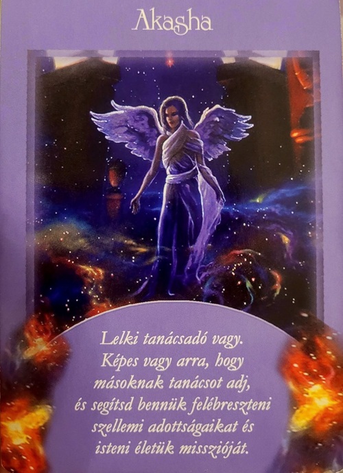 Akasha sp.jpg